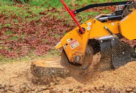 Best Commercial Tree Services  in Belterra, TX