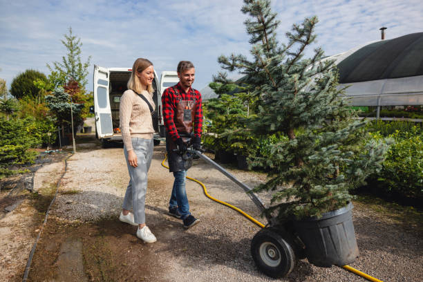 How Our Tree Care Process Works  in  Belterra, TX
